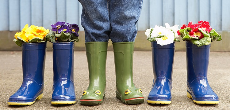 求問毒理未來的前景在何方 ?氟唑磺隆flucarbazone-sodium毒理數據有查詢到的嗎 