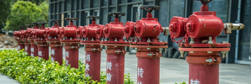 于化妝品功效評(píng)價(jià)的皮膚細(xì)胞類(lèi)型介紹?《化妝品功效宣稱(chēng)評(píng)價(jià)指導(dǎo)原則》起草說(shuō)明