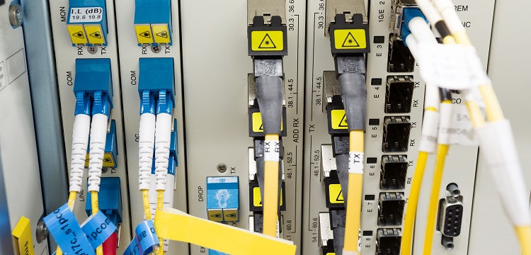 深圳大學(xué)公衛(wèi)考研公共衛(wèi)生考研報(bào)考要求?美國政府問責(zé)局報(bào)告稱「 美公共衛(wèi)生部門疫情應(yīng)對(duì)存在『 持續(xù)缺陷 』」,該缺陷是什么 健明迪檢測