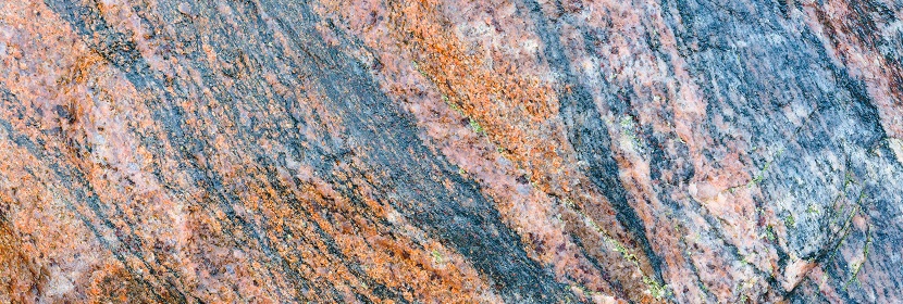 林業(yè)碳匯最新方法學(xué)出爐：全方位剖析林業(yè)碳匯