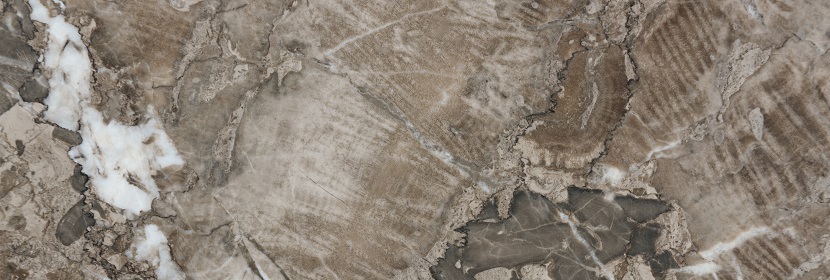 藥品生產企業(yè)土壤隱患排查方案