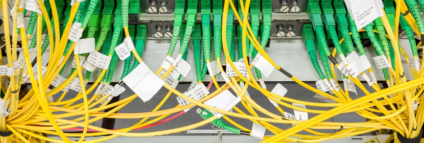 公共衛生考研,這是最好的時期!!!?【2022為民實事系列評論】筑牢公共衛生防護網,是須臾不可放松的大事 健明迪檢測