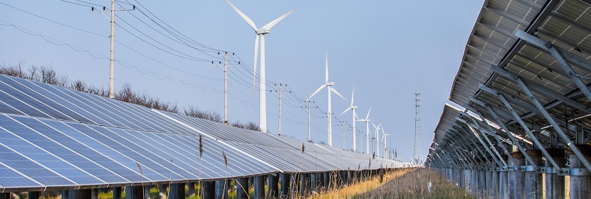 玩具檢測標(biāo)準(zhǔn)大全?各國玩具檢測標(biāo)準(zhǔn)總匯?健明迪