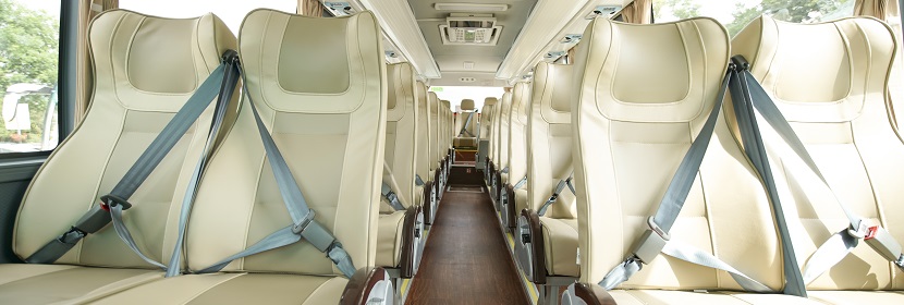 梔子苷檢測(cè)