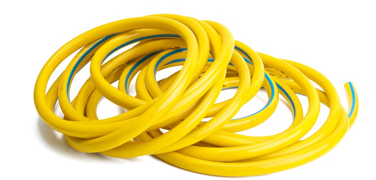 氧嗪酸鉀誘導(dǎo)樹(shù)鼩急性高尿酸血癥