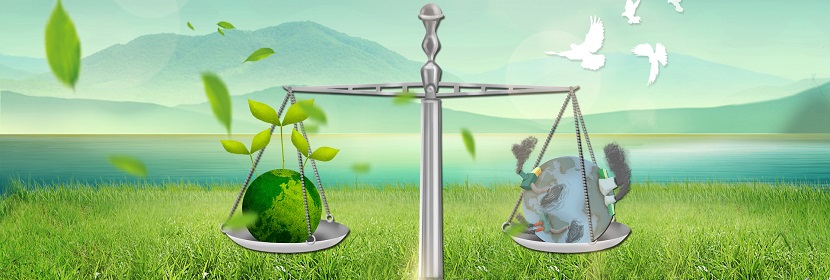 長(zhǎng)期高尿酸血癥慢性腎損傷樹(shù)鼩模型